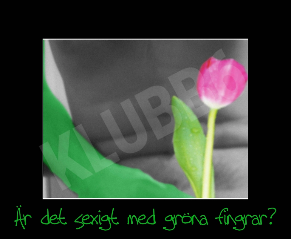 Lips_Of_An_Angel3787385